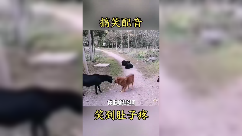 搞笑配音