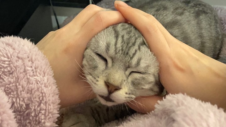 最后一把七杀