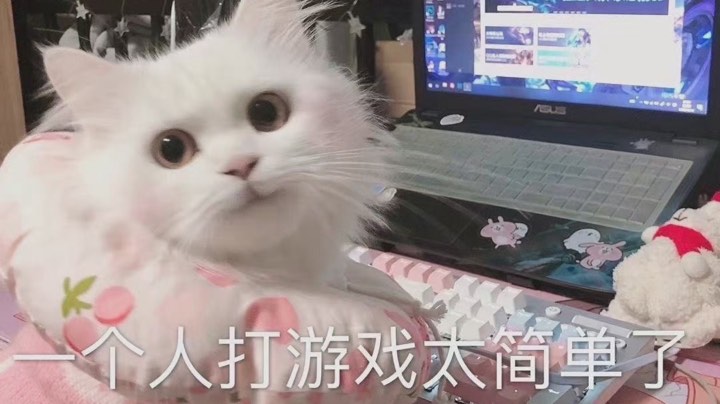 一些笨b操作