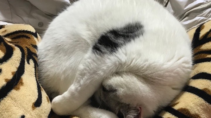 2022.03.02（2）直播回看