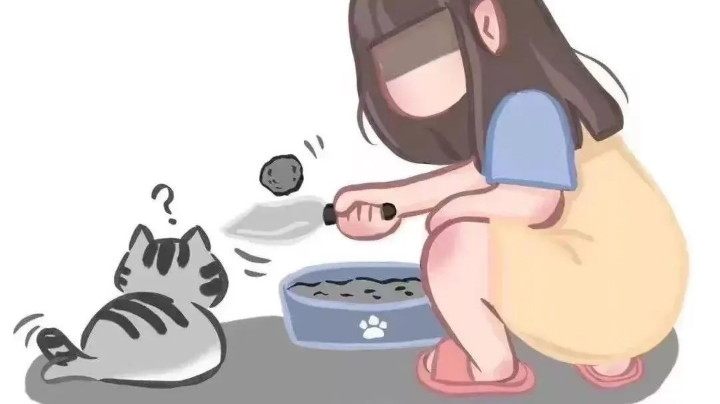 惊蛰，花开枝头，你在心头。