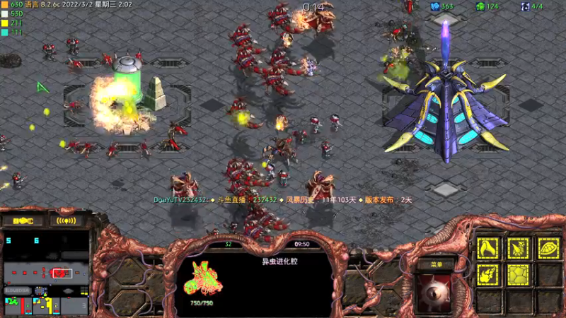 【2022-03-02 02点场】星际DSA联赛：天使風暴™️專業版