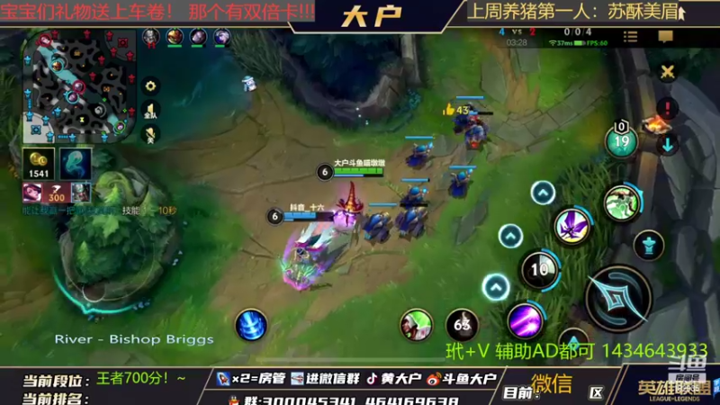 【2022-02-27 14点场】大户呀：猫咪猫咪你真了不得！