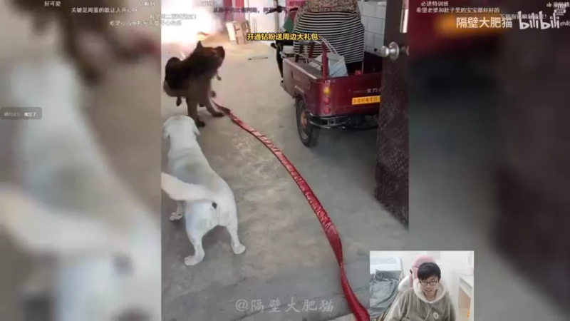 【2022-03-03 14点场】萌面酥：二台：挑战day15 宗师一步之遥！