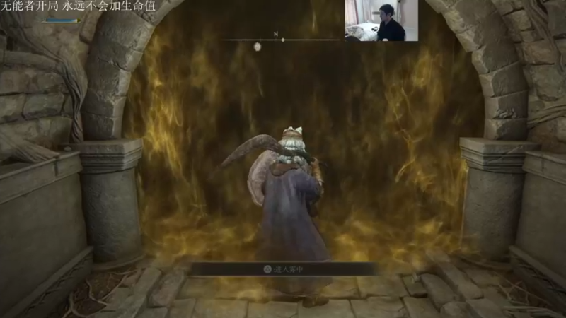 《艾尔登法环》混种战士+调香师