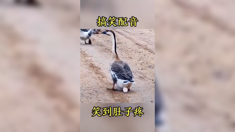 笑到肚子疼