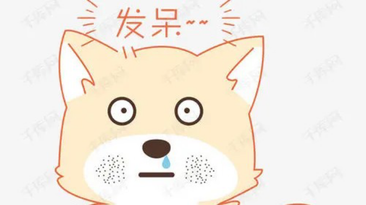 网6第一辅助