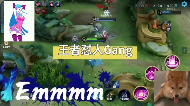 【王者荣耀】貂蝉王者怼人Gang