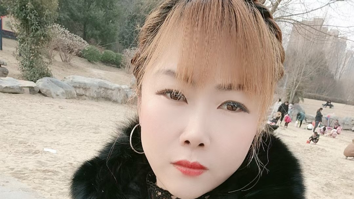 网6第一辅助