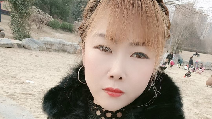 网6第一辅助