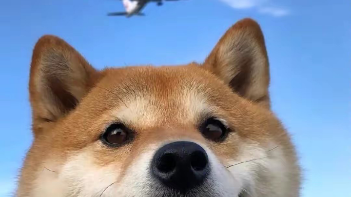 。。。。