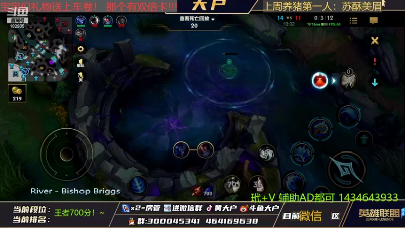 【2022-02-27 23点场】大户呀：猫咪猫咪你真了不得！