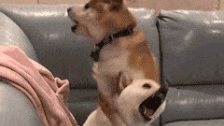 痛哭
