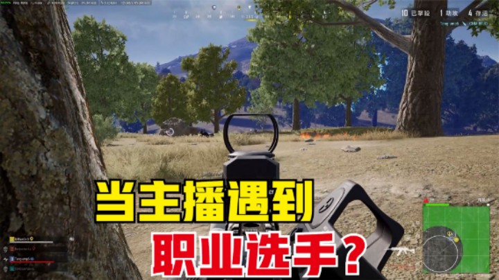 主播带队友肆意虐菜，决赛圈被制裁，观众：职业选手？