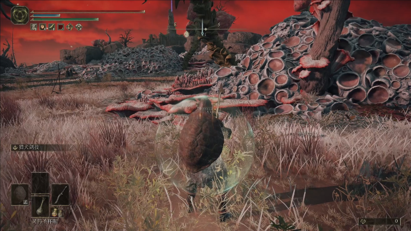 【艾尔登法环】寅子的精彩时刻 20220304 14点场