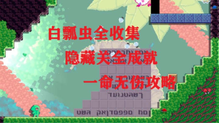 图迪和托蒂，一命通关白瓢虫全收集攻略