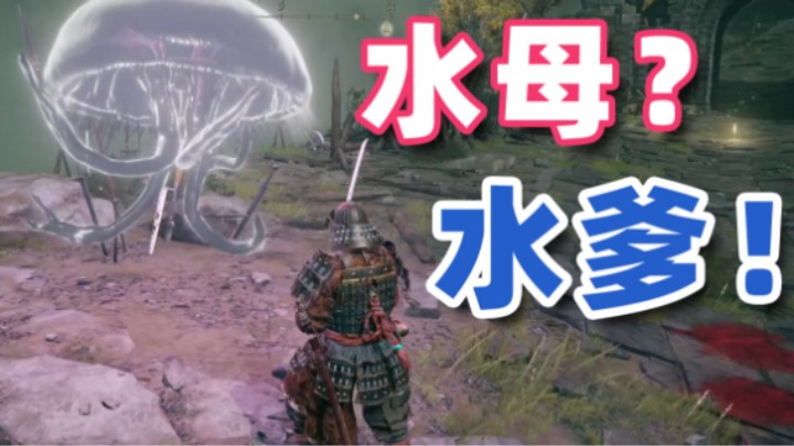 【寅子】水母？水爹！！！