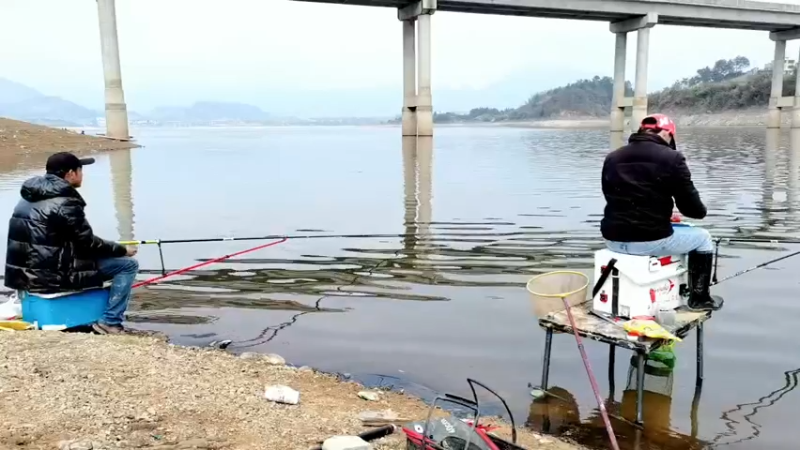 【2022-03-04 12点场】中华户外钓鱼：通山富水钓黄尾