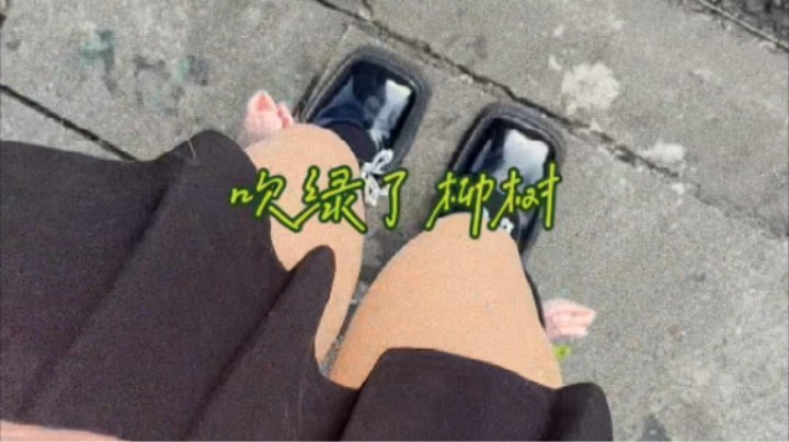 通知一下，春天来咯~