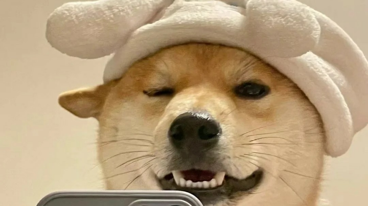 。