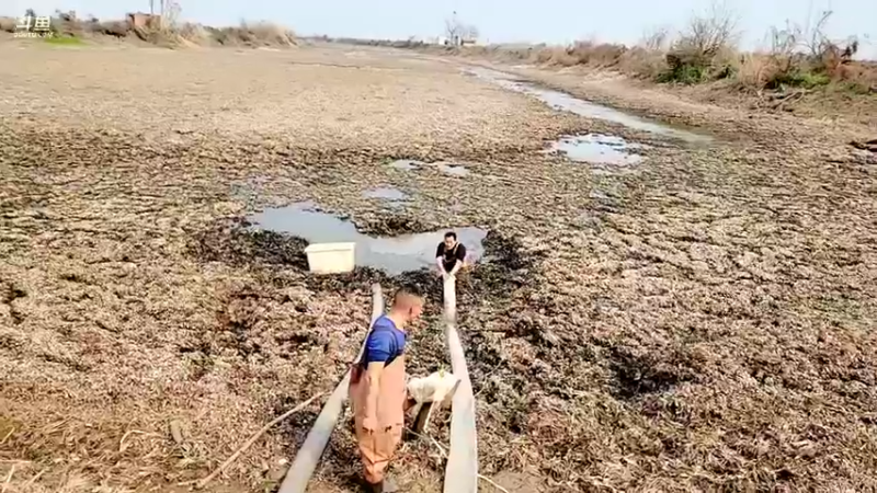 【2022-03-05 14点场】洪湖小肖：搞大货  337852