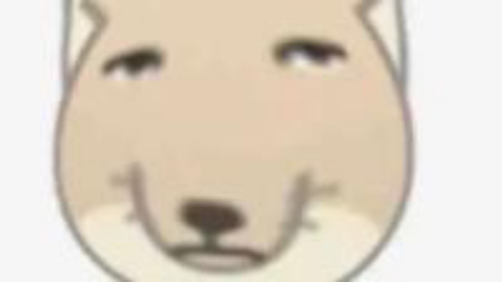 。。