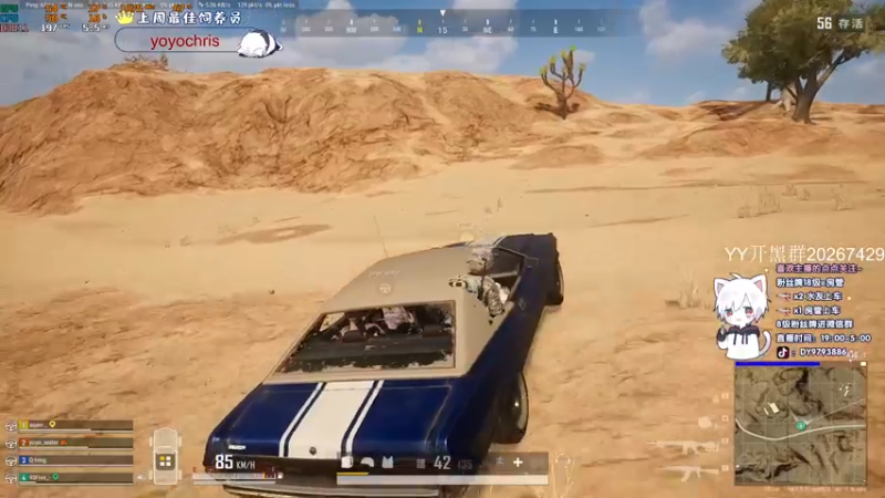 【2022-03-02 00点场】小徐813：轻语集团  千场大师kd6.0