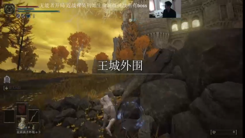 无伤龙庄大树