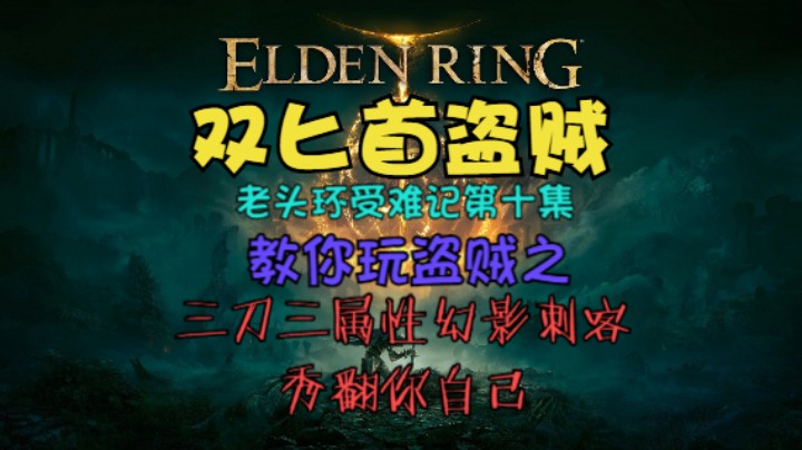 《艾尔登法环》双匕首真·盗贼受苦记，第十集盗贼教学真干货！三刀三属性秀翻自己~