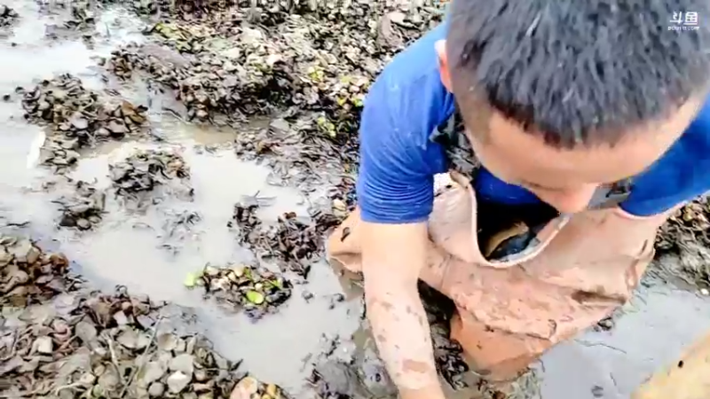 【2022-03-05 16点场】洪湖小肖：搞大货  337852