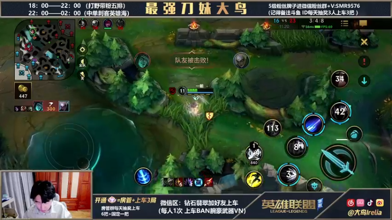 【2022-03-04 22点场】大鸟Irelia：免费带粉5排拒绝演子
