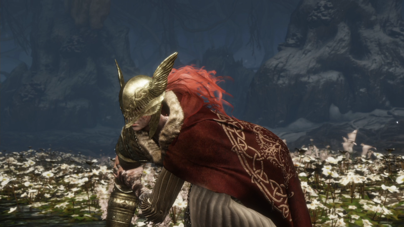 我在斗鱼看女流66直播艾尔登法环