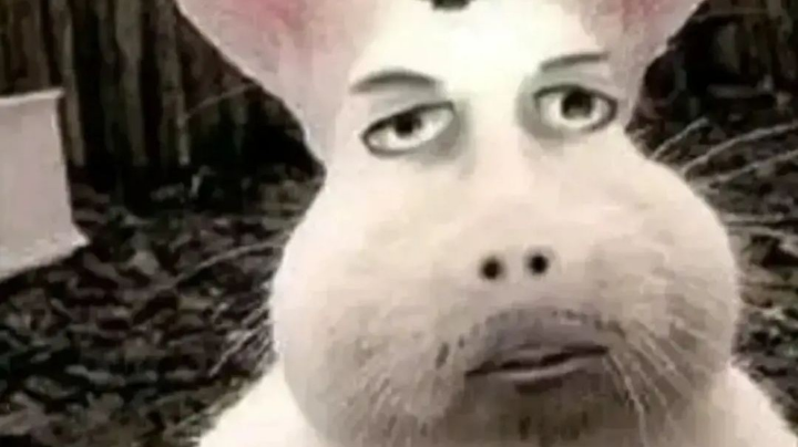 金铲铲之战之艾希之弈