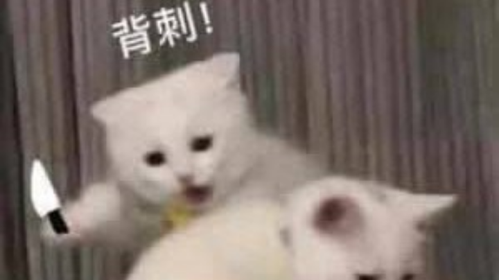 胜负未分