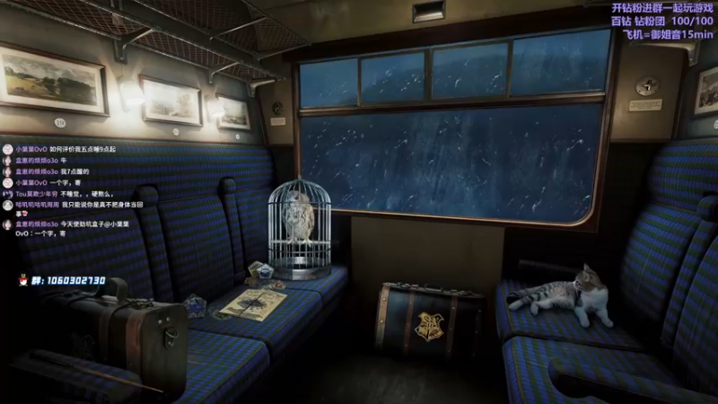 【2022-03-06 09点场】小盒子u：小盒子#喂熊王牌选手