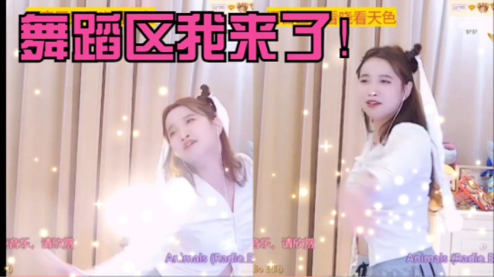 我宣布舞蹈区我来了【小肉球阿】