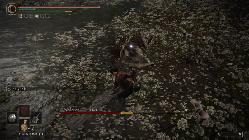 我在斗鱼看女流66直播艾尔登法环