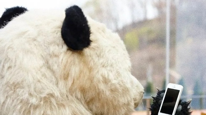 溜达溜达原神，做做每日日常～