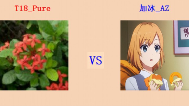 红警2原版擂台竞技场 第5季 Pure vs AZ 循进级营段对战（1）