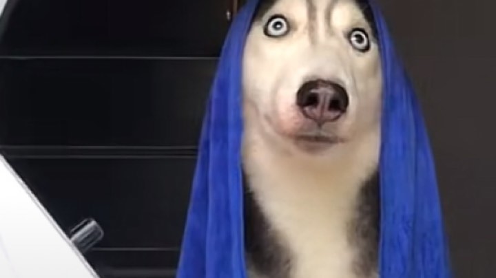 666