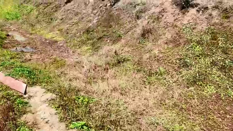 【2022-03-06 12点场】逐梦兄弟：11点开播0！