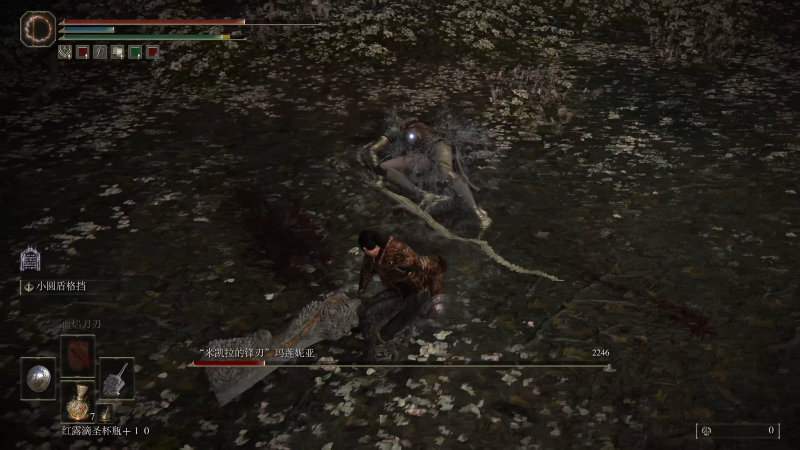 我在斗鱼看女流66直播艾尔登法环