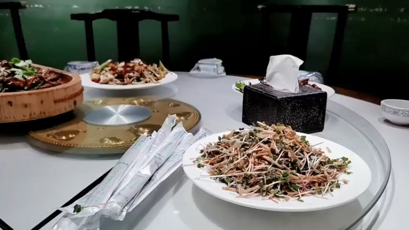 【2022-03-06 18点场】圆梦大师丶秦珂：围观秦亏亏强怼至曜影虎！