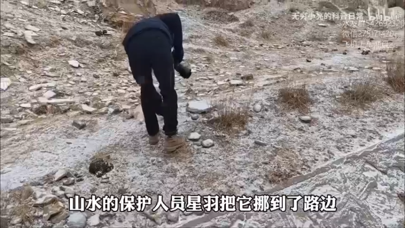 【2022-03-07 10点场】小粥泥浆：关键词:相位巫师之刃 版本答案!!