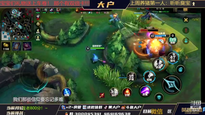【2022-03-07 14点场】大户呀：已国1猫！ 露露猫咪细节教学