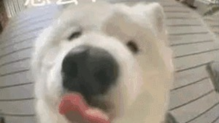 卡丁车
