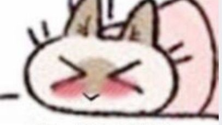P2直播回看