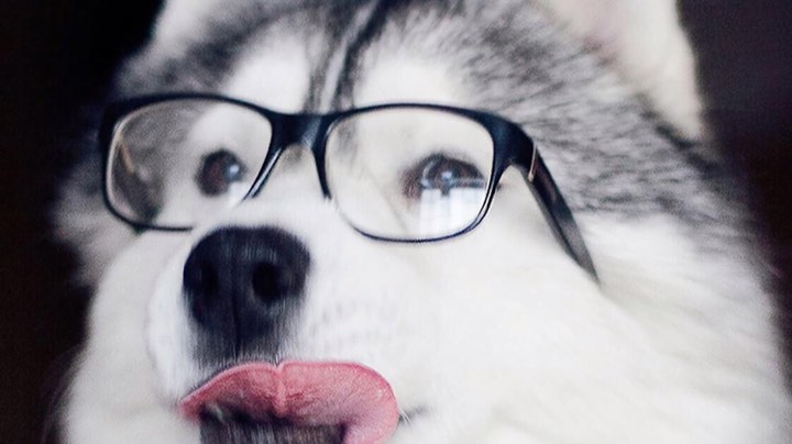 逐风者赛季服bwl