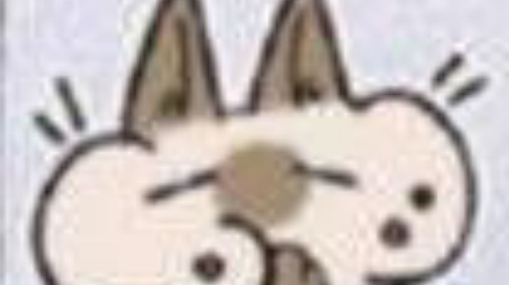 来坑队友啦！