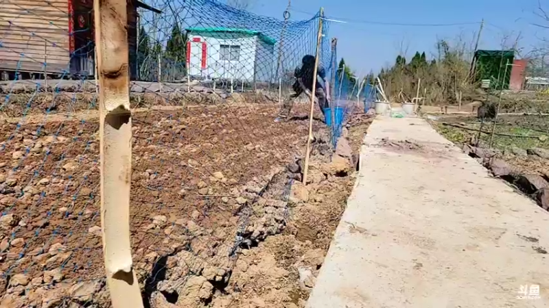 【2022-03-07 13点场】川味箩卜：人间至味是清欢  757122